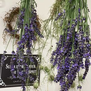 ニゲラ,ラベンダーグロッソ,ドライフラワー,花友さんに感謝♡,中島みゆき糸つながりの画像