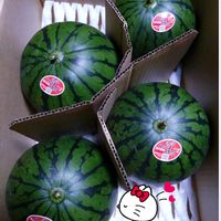 スイカ,小玉スイカ,頂き物の画像