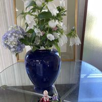 アジサイ,アヤメ,アヤメ,アヤメ,ホタルブクロの画像