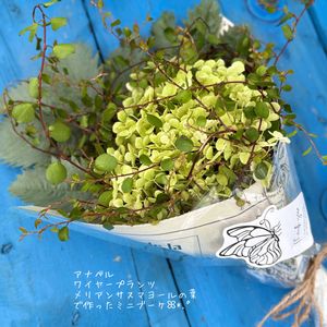 アナベル,ハンドメイド,ミニブーケ,花のある暮らしの画像