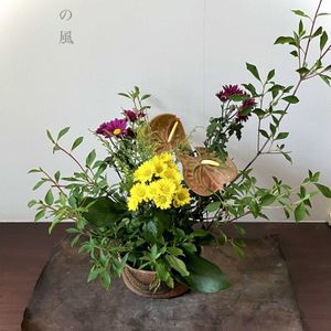 フラワーアレンジメント,生け花の画像