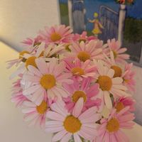 マーガレット,マーガレットストロベリーホイップ,切り花,花瓶,平和を願う☆の画像