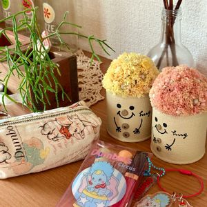 リプサリス,ドライフラワー,かわいいな♡,GS日和の画像