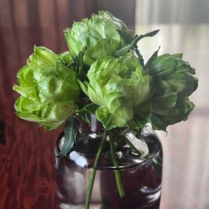 スプレーバラ　エクレール,バラ オリエンタルエクレール,切り花,花のある暮らし,みどりのある暮らしの画像
