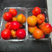 スモモ,プラム,プラム,プラム酒,プラム酒の画像