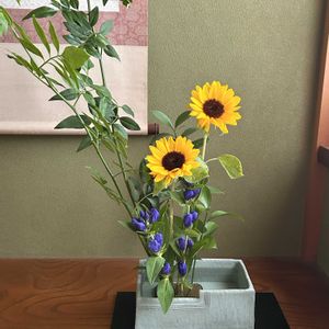 ヒマワリ,リンドウ,ルスカス,ソケイ,生け花の画像