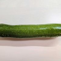 ズッキーニの画像