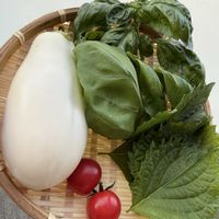 バジル,ミニトマト,大葉,ピンキー,白ナスの画像