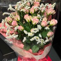 スターチス,キュンキュン乙女倶楽部,【こまち多肉部】,平和を願う,キュンキュン乙女倶楽部No.285の画像