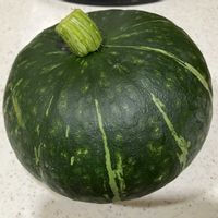 家庭菜園の画像