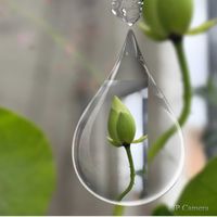 花のある暮らし,茶碗蓮,みどりのある暮らし,石の上にも三年,穏やかな時間の画像