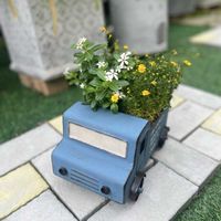 ダールベルグ・デージー,ニチニチソウ　夏花火　ホワイトレッドアイ,寄せ植え,ガーデニング,今日の一枚の画像