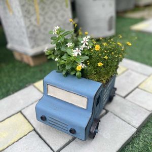 ダールベルグ・デージー,ニチニチソウ　夏花火　ホワイトレッドアイ,寄せ植え,ガーデニング,今日の一枚の画像