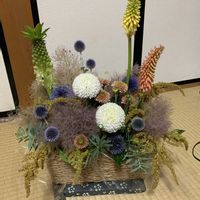 わんこのいる生活,感謝♡,月命日,お花部,はるちゃんの店の画像