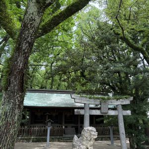紫陽花 アジサイ あじさい,グリーンのある暮らし,ナチュラルスタイル,楽しい時間,キュンキュン乙女倶楽部の画像