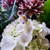 アジサイ,ダリア,切り花,大好き,お気に入り♡の画像