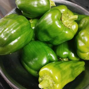 ピ―マン,京みどり,ピーマン　(ニューエース),ガーデニング,ネコ好きの画像