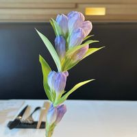 リンドウの画像