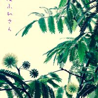 エバーフレッシュ,エバーフレッシュの花,観葉植物,ちっちゃいものクラブ,虹の彼方にの画像