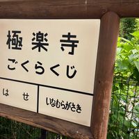 はぎ(萩),極楽寺,鎌倉 長谷寺,紫陽花を求めての画像