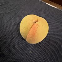 モモの画像