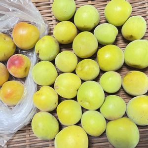 玉ねぎ,南高梅,梅仕事,保存食,梅漬けの画像
