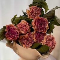 ピエールドロンサール,ドライフラワー,季節の花,ドライフラワーアレンジ,バラ・ミニバラの画像