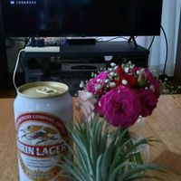 チランジア,カスミソウ,バラ,バラ,ユーカリの画像