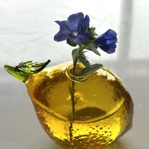 エキナセア,アメリカンブルー,カンナ,ミニトマト,一輪挿しの画像