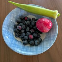オクラ,スモモ,ブルーベリー,ペチュニア,オクラの花の画像