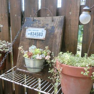 多肉植物,DIY,多肉植物寄せ植え,ガーデニング,手作りの庭の画像
