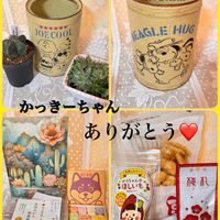 多肉大好き,多肉棚,多肉中毒,多肉植物のある暮らし,ありがとう♡の画像