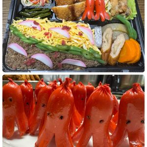 ザクロ,ザクロ,ザクロ,多肉植物の寄せ植え,多肉植物の寄せ植えの画像