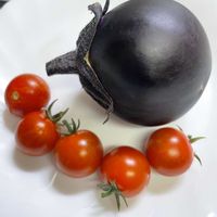 イタリアンパセリ,バジル,ミニトマト,丸ナス,とろとろ炒めナスの画像