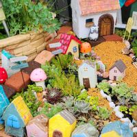 タイトゴメ,ハオルチア,多肉植物 寄せ植え,宿根リナリア, 多肉寄せ植えの画像