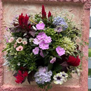 ハンキング,花フェスタ,大通り,お出かけ先の画像