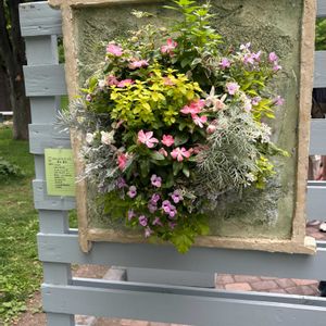 ハンキング,花フェスタ,大通り,お出かけ先の画像