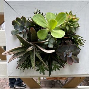 ハンキング,花フェスタ,大通り,お出かけ先の画像