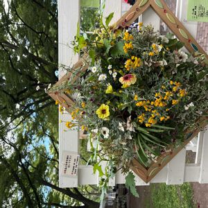 ハンキング,花フェスタ,大通り,お出かけ先の画像