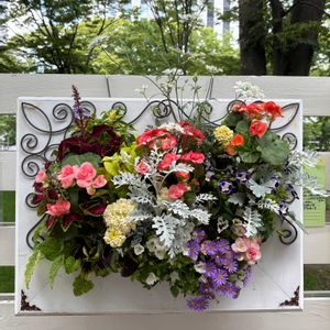 ハンキング,花フェスタ,大通り,お出かけ先の画像