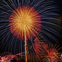 アジサイ,キキョウ,ムクゲ,花火,テイカカズラの画像