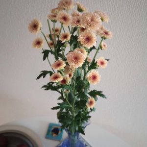 観葉植物,切り花,一輪挿し,可愛い,花瓶の画像