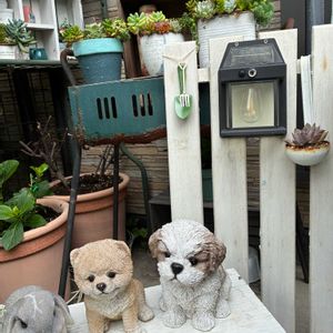 多肉色々,ガーデニング,レードル寄せ,ガーデニング雑貨,バーベキューコンロの画像