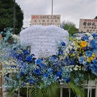 お祝い花,お祝い,日本武道館,おめでとうの花,お出かけ先の画像