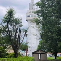 イヌマキの画像