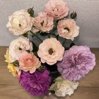 花瓶の花,ばら バラ 薔薇の画像