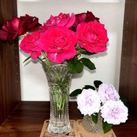 花瓶の花,ばら バラ 薔薇の画像