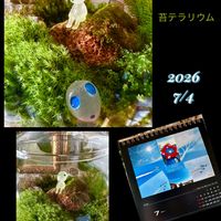苔テラリウム,バラと夢CLUB,万博カレンダーの画像