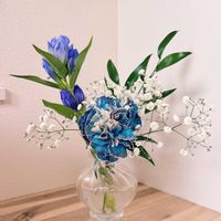 カーネーション,カスミソウ,リンドウ,イタリアンルスカス,切り花の画像