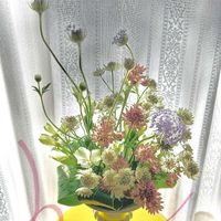 アルストロメリア,ドラセナ,アストランティア,アレンジの画像